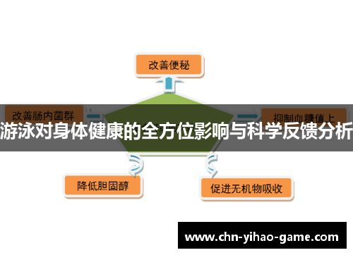 游泳对身体健康的全方位影响与科学反馈分析