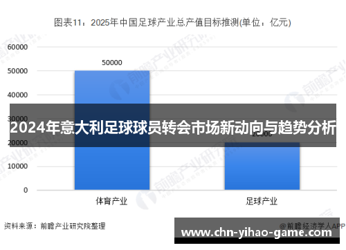 2024年意大利足球球员转会市场新动向与趋势分析