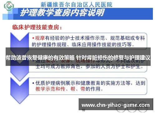 帮助波普恢复健康的有效策略 针对肾脏损伤的修复与护理建议