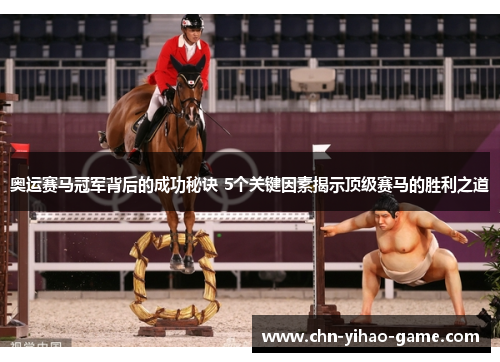 奥运赛马冠军背后的成功秘诀 5个关键因素揭示顶级赛马的胜利之道