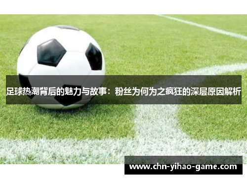 足球热潮背后的魅力与故事：粉丝为何为之疯狂的深层原因解析